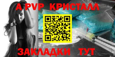 крисы Малгобек