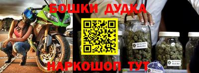 крисы Малгобек
