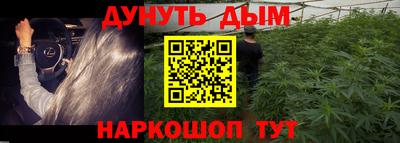крисы Малгобек