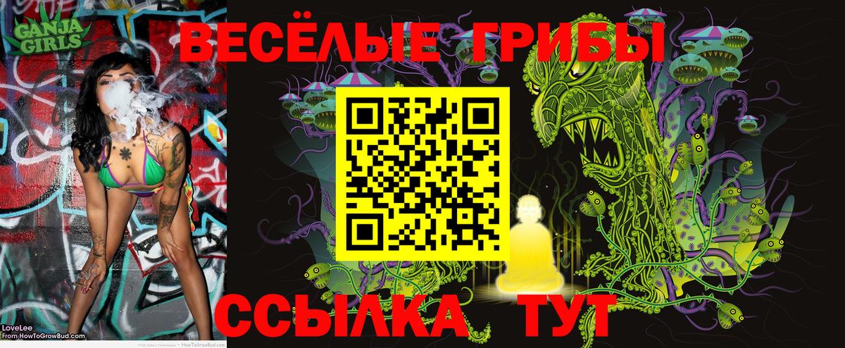Топки  Галлюциногенные грибы GOLDEN TEACHER  Вход с VPN 