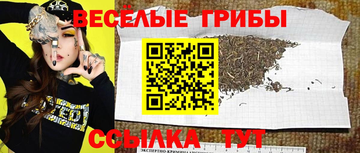 Галлюциногенные грибы MAGIC MUSHROOMS Топки